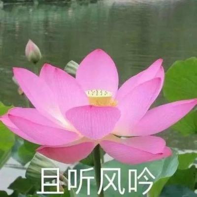 【境内疫情观察】黑龙江望奎县发现1名新冠复阳人员（4月24日）